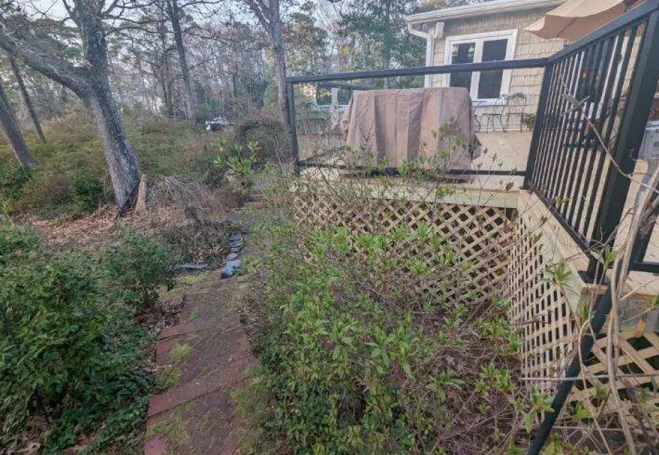 Overgrown backyard patio area cleanup