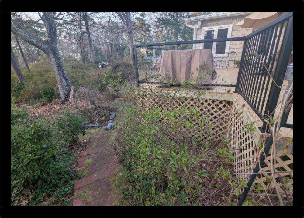 Overgrown backyard patio area cleanup